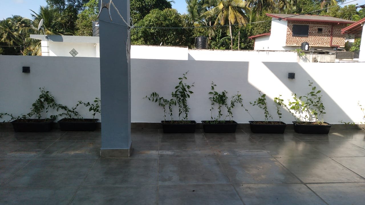 img 20241220 wa0000