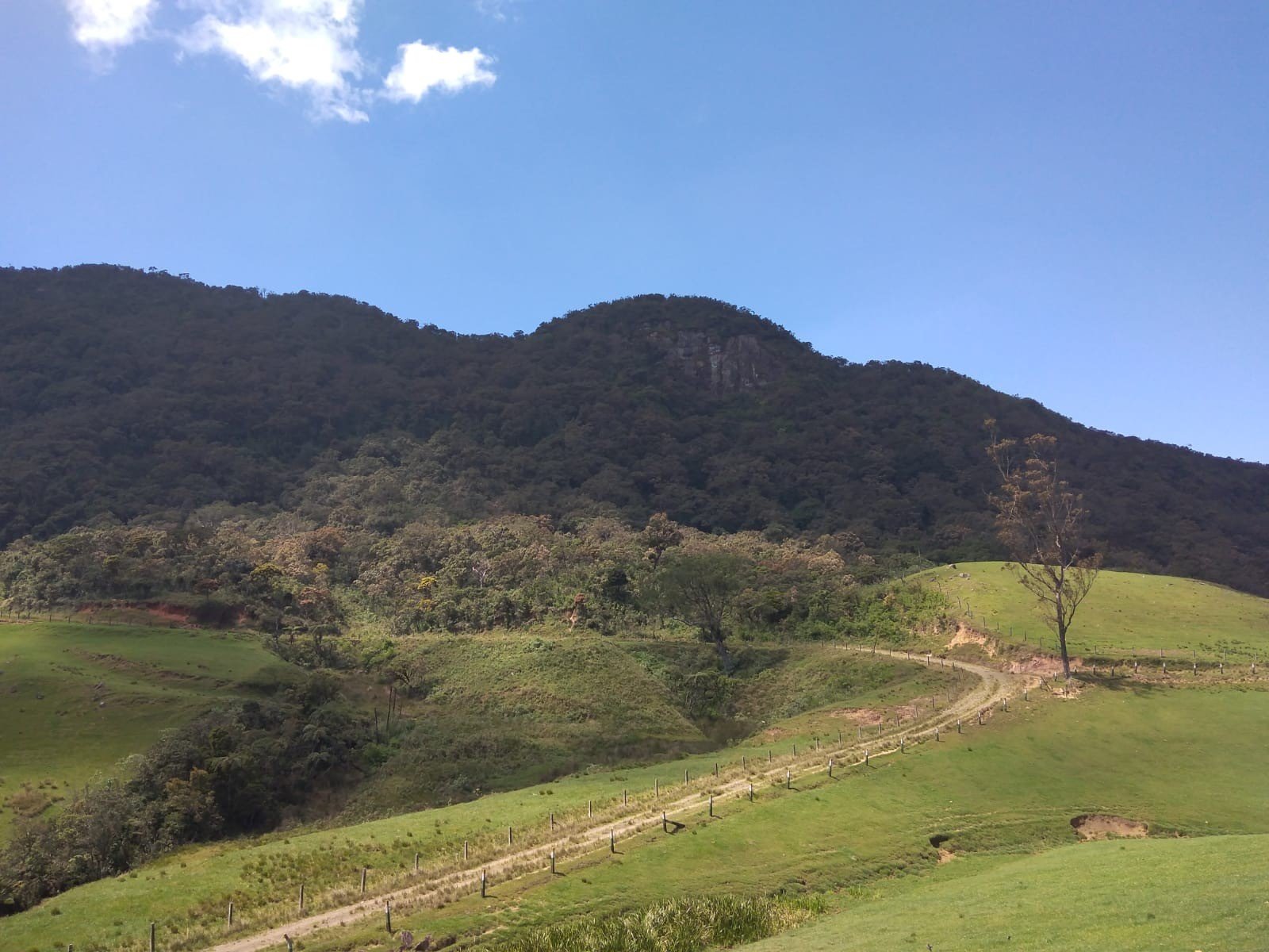 ambewela